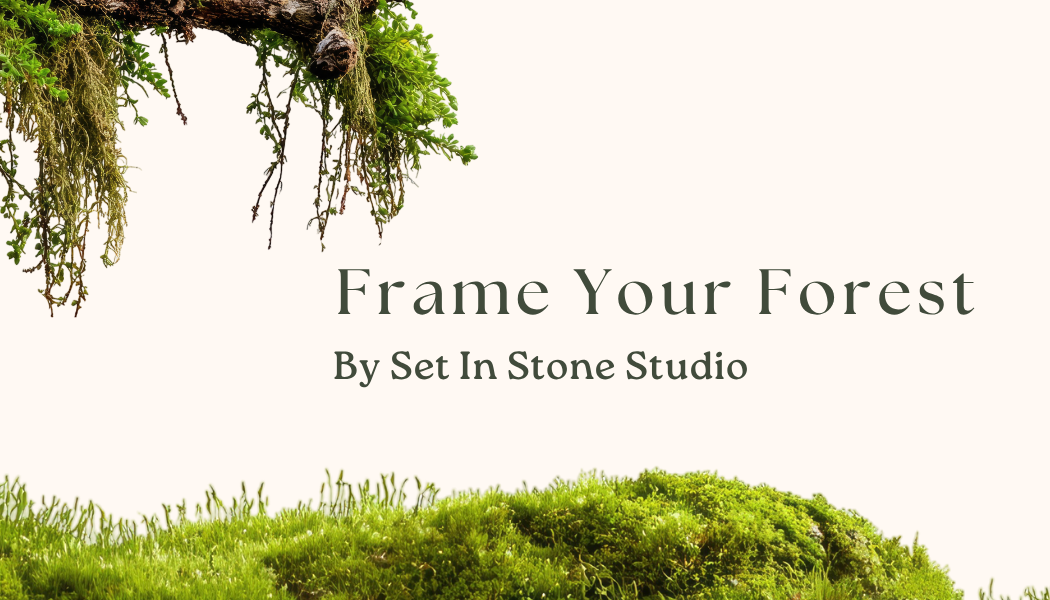 A finished framed moss artwork from a Frame Your Forest workshop