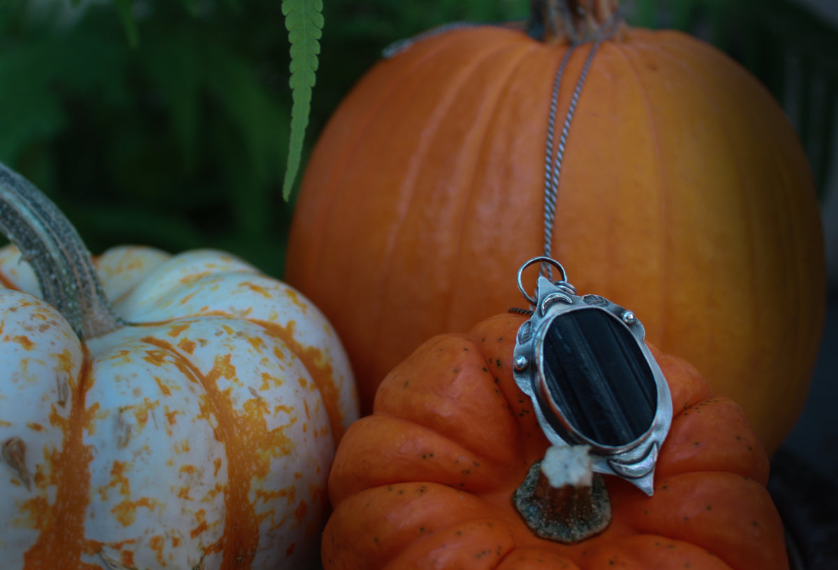 Black Tourmaline Beatle Necklace