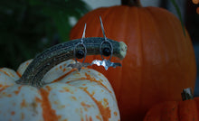 Load image into Gallery viewer, Black Onyx Bat Baby Earrings