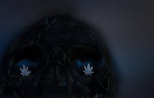 Load image into Gallery viewer, Small Leaf Studs
