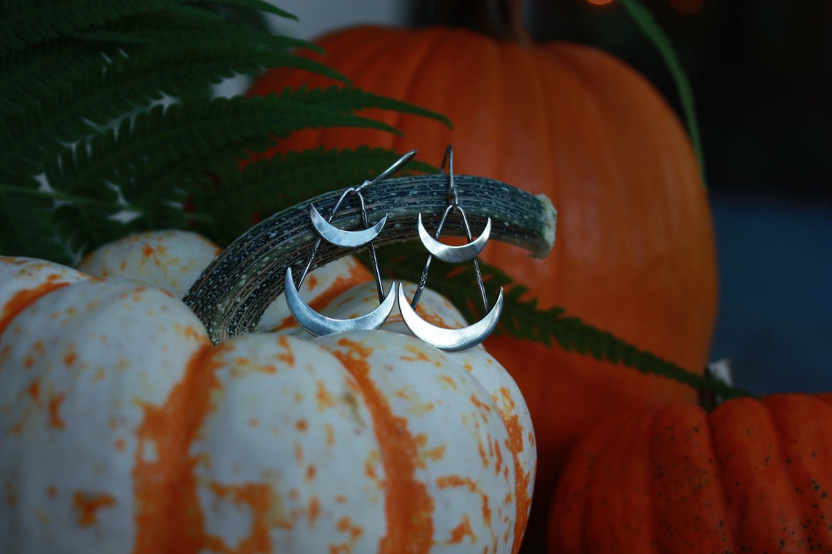 Crescent Moon Earrings