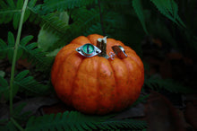 Load image into Gallery viewer, Cat Eye Studs
